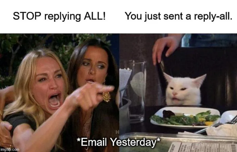 STOP REPLYING ALL!